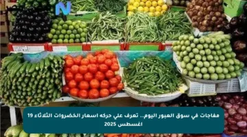 مفاجآت في سوق العبور اليوم.. تعرف على حركة أسعار الخضروات الثلاثاء 19 أغسطس 2025